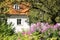 Cottage windows surrounded by vegetation. Poland