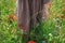 Cottagecore aesthetics. Close up of woman in rustic dress gathering poppy and cornflowers in sunny field. Young female  walking