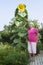 Cottager near a huge sunflower