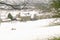 Cottages and farm in the snow.