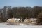 Cottages in the snow