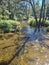 Cotter River with tree lined banks