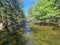 Cotter River with tree lined banks