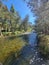 Cotter River with tree lined banks