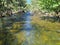 Cotter River with tree lined banks