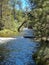 Cotter River with tree lined banks