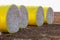 Cotton bales in bright yellow protective wrap. Round cotton bales in the field after being harvested.