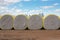 Cotton Bales waiting to be processed in the Gin