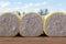 Cotton Bales waiting to be processed in the Gin