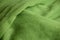 Cotton cloth background for fabric and clothing industry