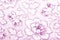 Cotton fabric with peony flower print