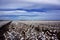 Cotton Fields Ready For Harvesting in Australia