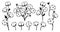 Cotton flower branch monochrome set Emblem natural blossom fluffy fiber on stem design vector