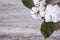 Cotton flowers adorn the white frame