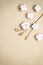 Cotton flowers on a beige plaster background. Flower composition. Top view, flat lay, copy space. Textured object