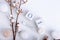 Cotton flowers, burning candles and date JANUARY, 1 on white background