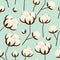 Cotton flowers seamless pattern on blue background.