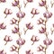 Cotton flowers seamless pattern.Cotton balls, cotton fiber vector illustration.