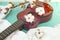Cotton flowers on a ukulele guitar, soft music album cove concept