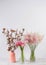 Cotton flowers in a vase on wooden background