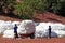 The cotton harvest