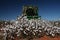 Cotton harvest