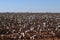 Cotton on the Llano Estacado