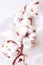 Cotton plant flower branch on white fabric surface. Textile background