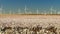 Cotton Plantation Green Energy Farm Field Wind Power Generation