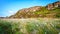 Cottongrass below Great Wanney Crag