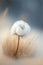 Cottongrass flower in the snow, generative ai