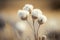 Cottongrass flower in the snow, generative ai
