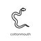 cottonmouth icon. Trendy modern flat linear vector cottonmouth i