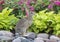 Cottontail rabbit sitting on rocks at the perimeter of a garden with flowers and plants in Frisco, Texas.