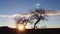 Cottonwood Tree and Clouds Sunrise in Open Landscape