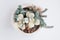 Cotyledon orbiculata variegated and sedum dasyphyllum major succulent houseplant flower bouquet arrangement top view