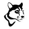 Cougar mountain lion head vector black