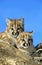 COUGAR puma concolor, CUB STANDING ON STUMP, MONTANA