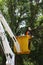 Council worker trimming trees