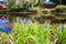 Counrtyside lake with dramatic reflections background