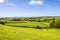 Counrtyside Wales. Fields and meadows