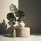 Counter podium. Sunlit Indian Rubber Tree, Cactus in Black Gray Pot, Leaf Shadows on Wall, and Beige Concrete Textured Curve