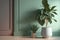 Counter podium. Sunlit Indian Rubber Tree, Cactus in Black Gray Pot, Leaf Shadows on Wall, and Beige Concrete Textured Curve