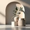 Counter podium. Sunlit Indian Rubber Tree, Cactus in Black Gray Pot, Leaf Shadows on Wall, and Beige Concrete Textured Curve