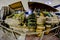 Counter which are boxes of grapes, wine bottles and wooden wine barrels in Italy