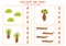 Counting game with cute tropical trees. Educational worksheet.