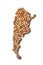 Countries winemakers - maps from wine corks. Map of Argentina on