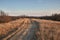 Countriside dirt road landscape, pale autumn