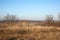 Countriside dirt road landscape, pale autumn