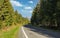 Country asphalt road, coniferous trees on both sides, mount Krivan peak Slovak symbol  with blue sky above, in distance